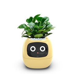 Itigoitie front view showing yellow planter and screen for quick status