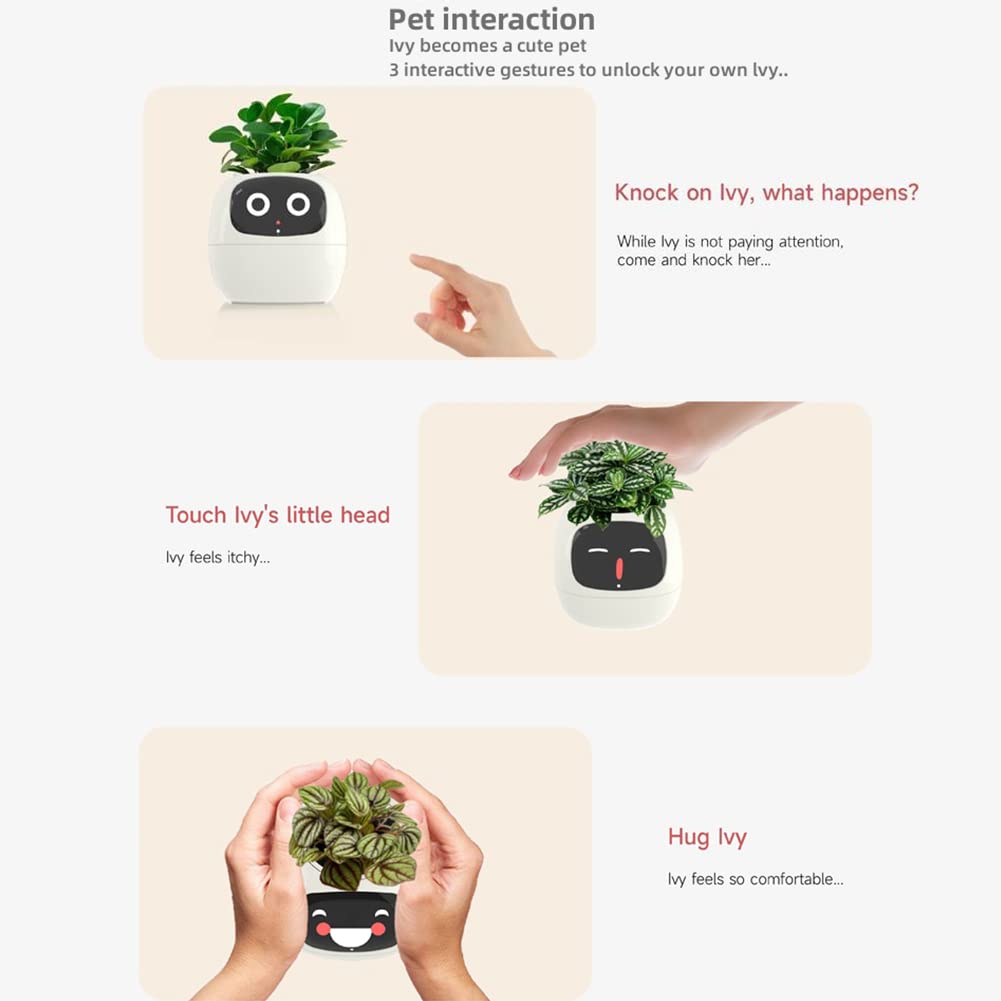 Itigoitie in living room showing decorative smart planter enhancing decor