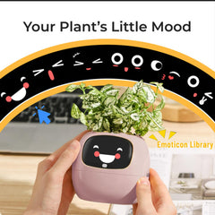 Itigoitie internal sensors layout detail showing precise plant monitoring