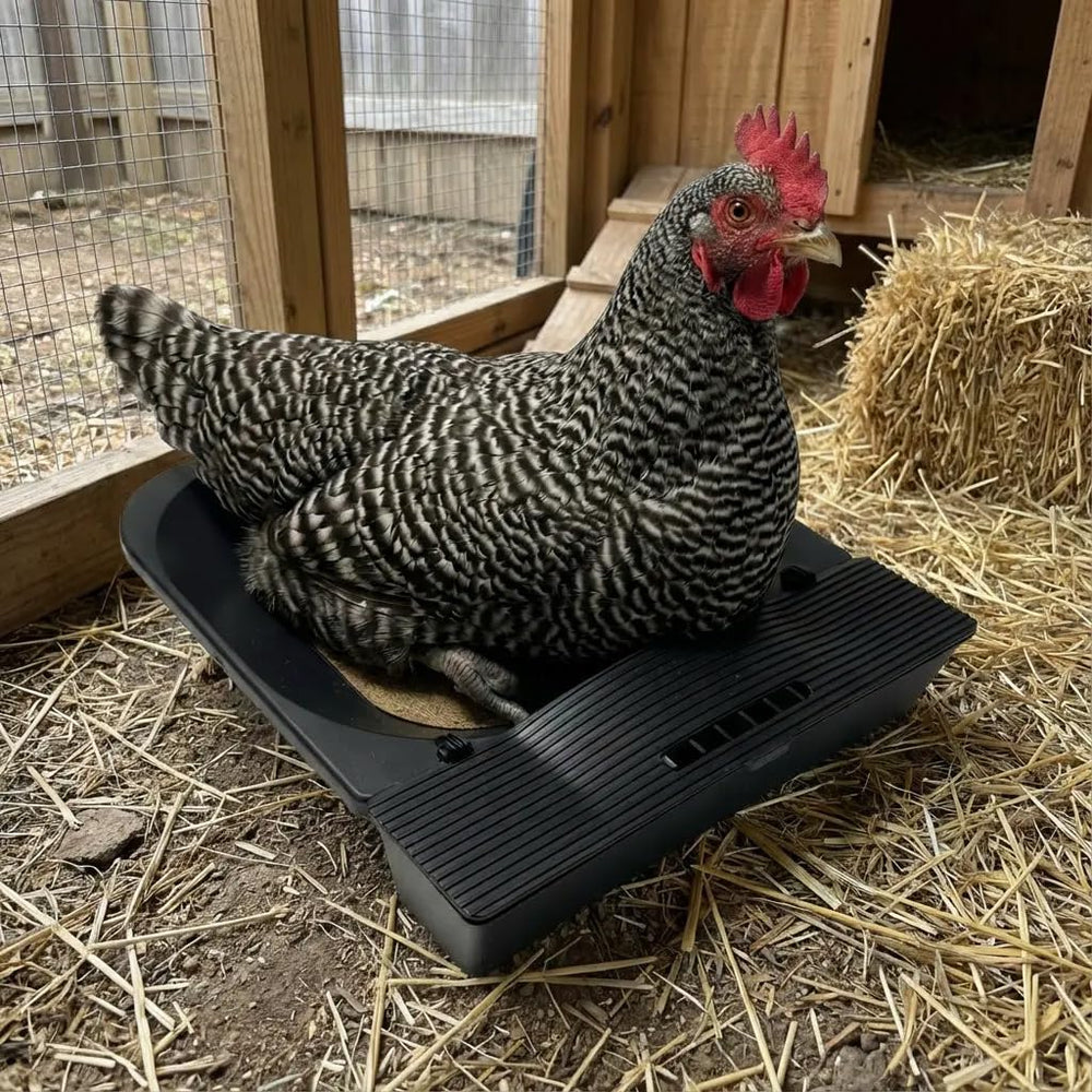 IVAHOU open collection drawer protecting eggs and simplifying daily harvesting