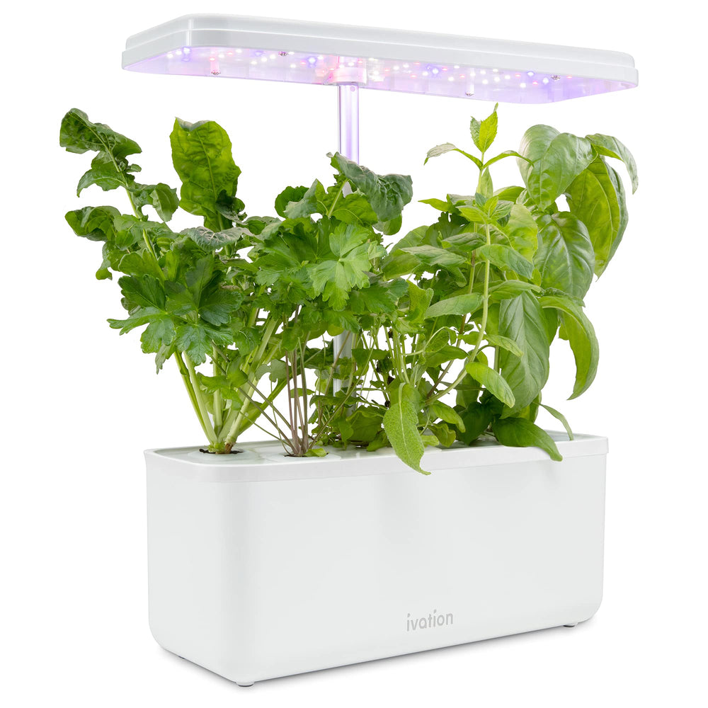 Ivation harvested herbs displayed from system, fresh year-round produce