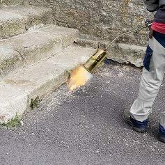 Ivation torch burning weeds in yard for fast chemical-free removal