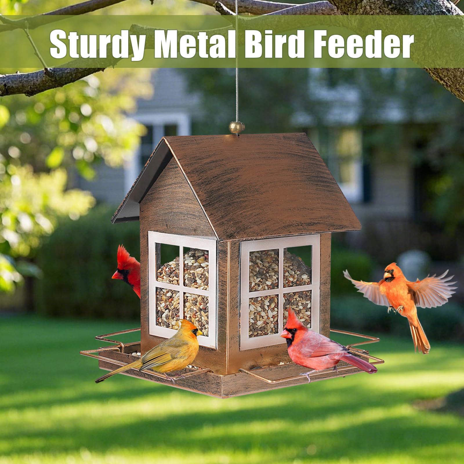 IWNTWY feeder held by hand showing scale and three-pound capacity benefit