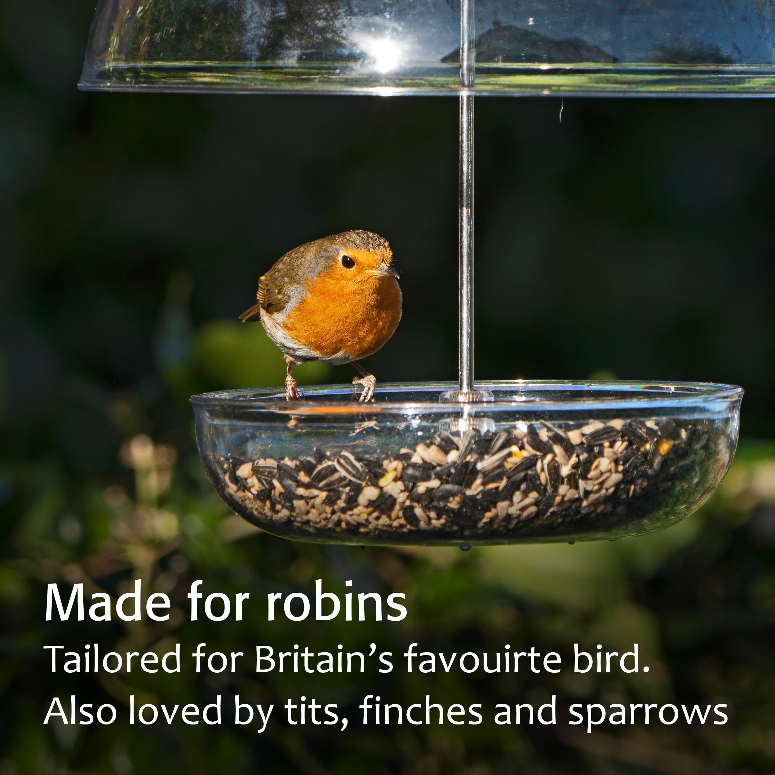 Jacobi Jayne dome close-up highlighting UV-stable cover that protects mealworms