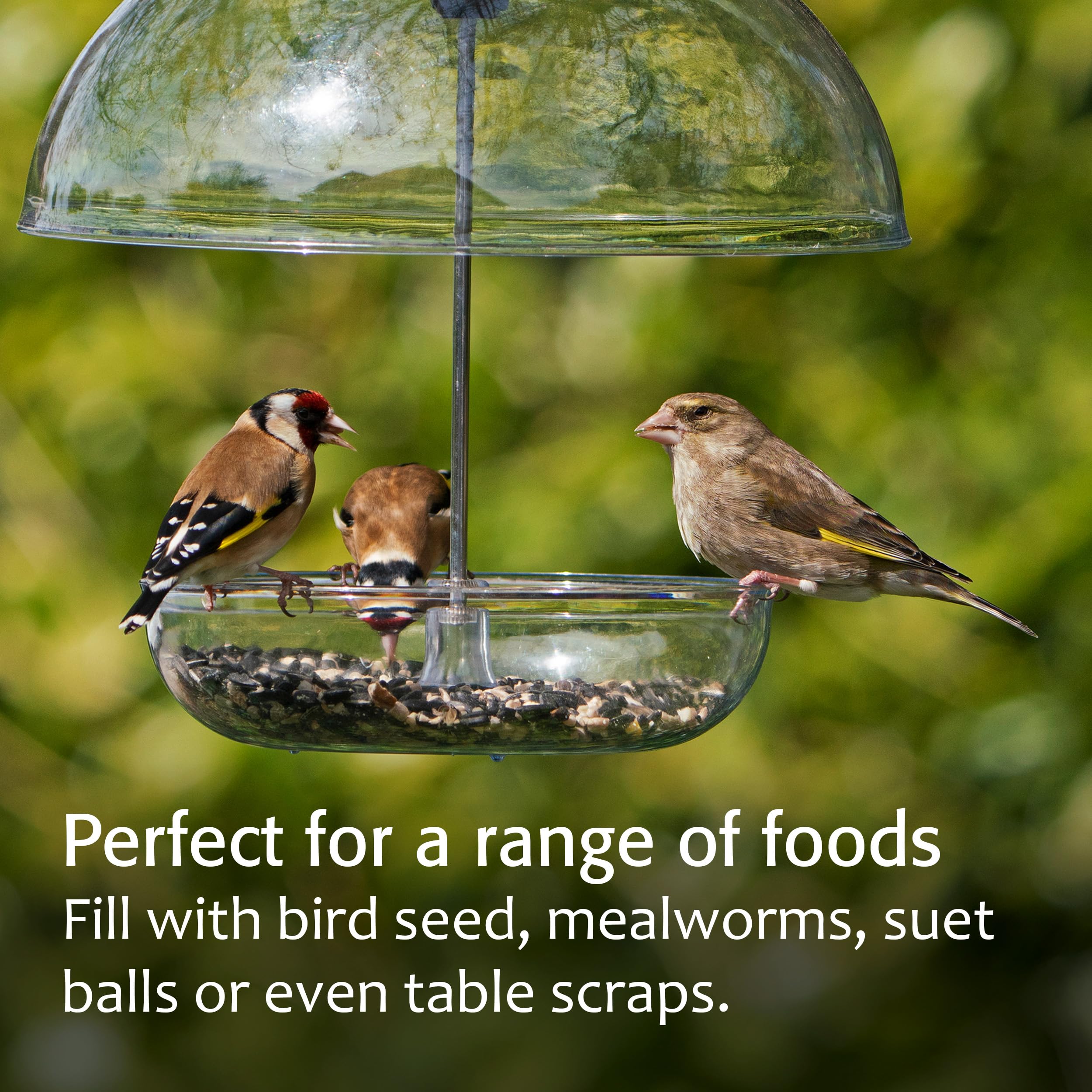 Jacobi Jayne feeder mounted on a pole demonstrating stable placement and accessibility