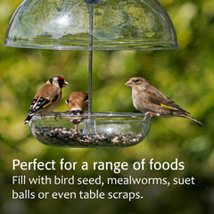 Jacobi Jayne feeder mounted on a pole demonstrating stable placement and accessibility