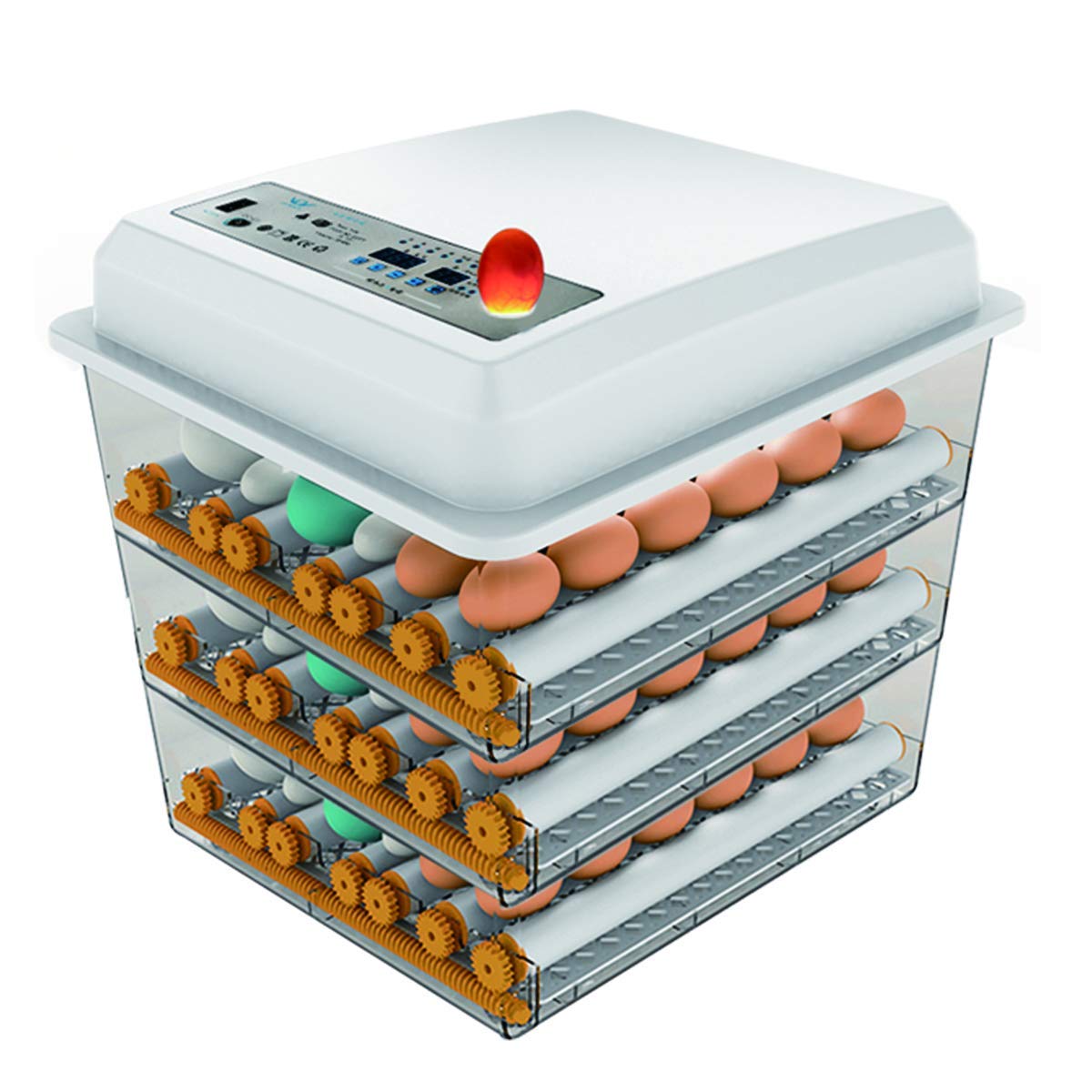 JAEDO incubator front view showing clear window and controls for easy monitoring