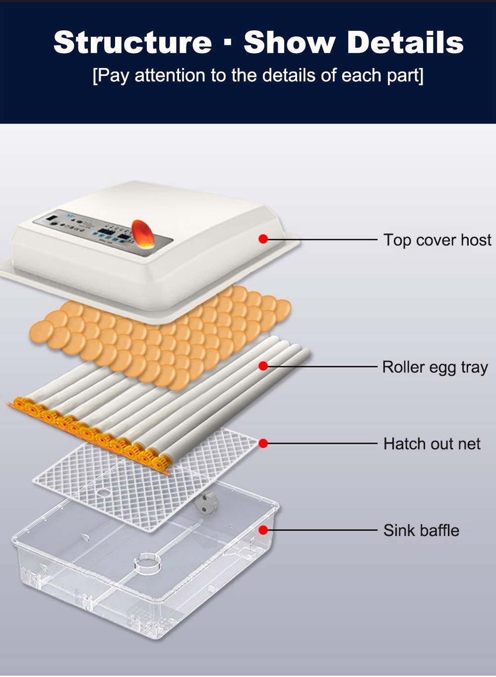 JAEDO in a backyard setup illustrating reliable hatching for small farms