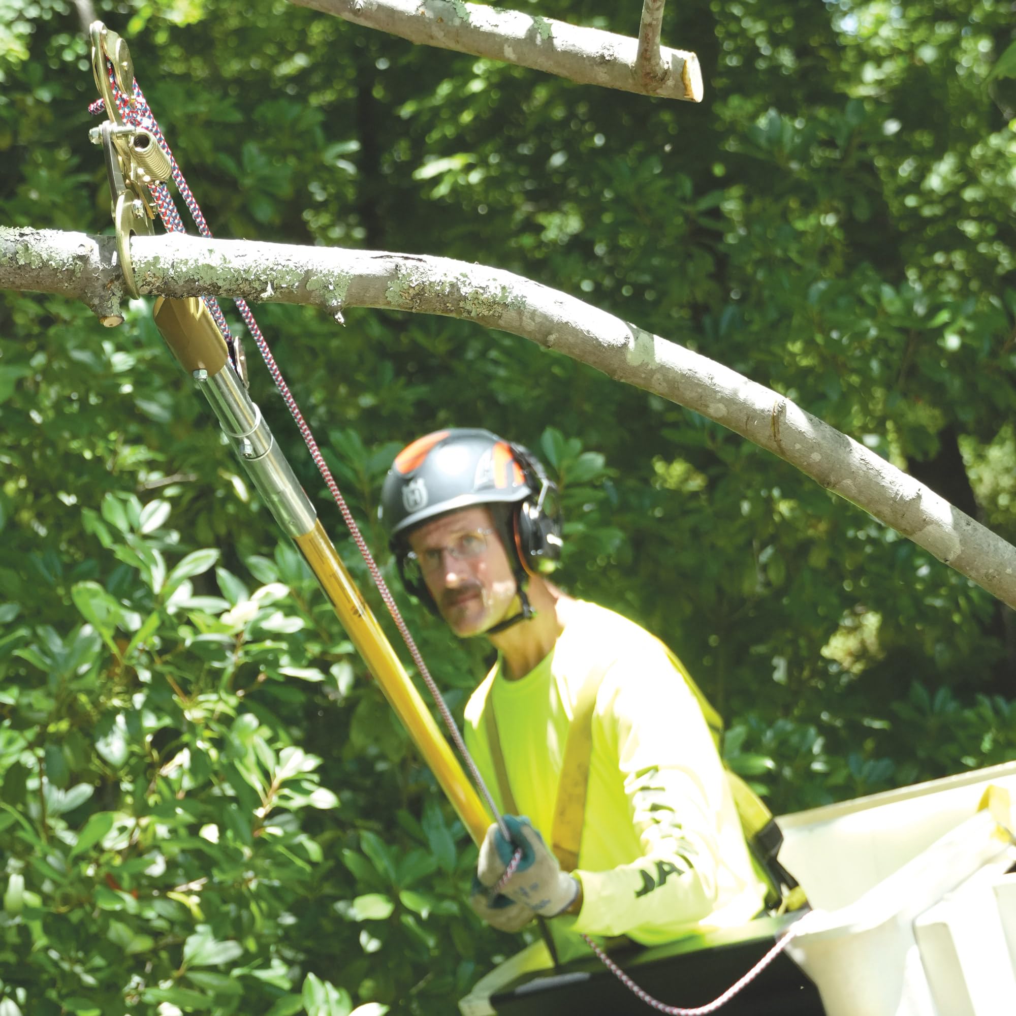 Jameson pruner in use from ground cutting a limb demonstrating safer, ladder-free pruning