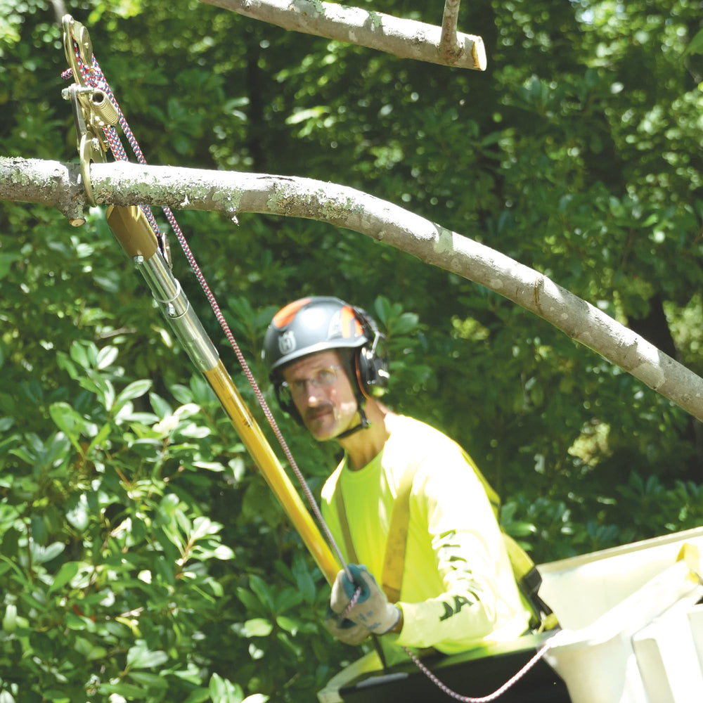 Jameson pruner in use from ground cutting a limb demonstrating safer, ladder-free pruning