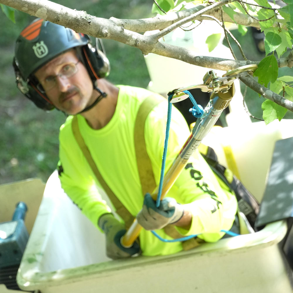 Jameson pole saw in use trimming a high branch to show practical application