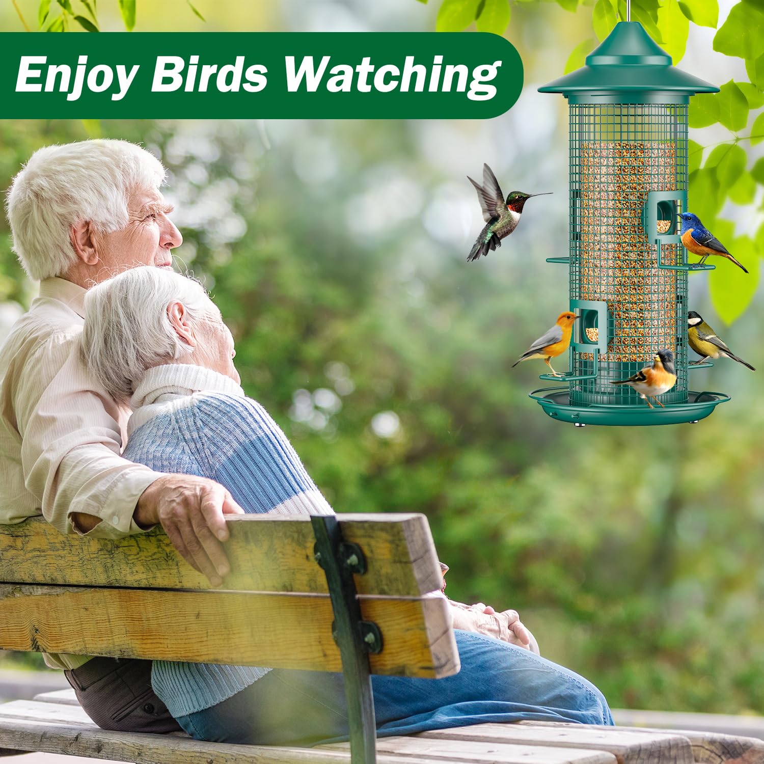 Jarkyfine on balcony with birdwatcher enjoying nature-friendly backyard feeding