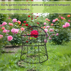 JAWULIJA cloche staked in a vegetable bed protecting young plants from animals