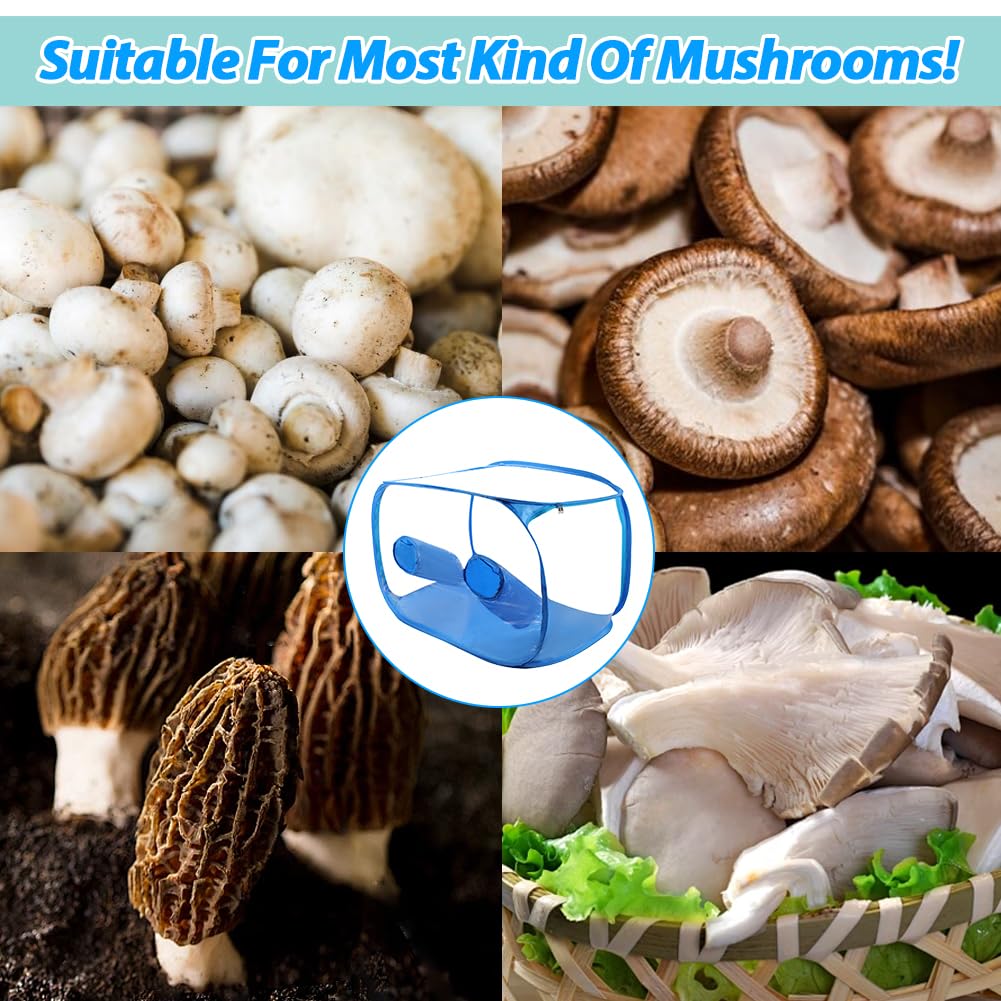 Jaxbo lifestyle home table use showing portability for hobby mycology projects