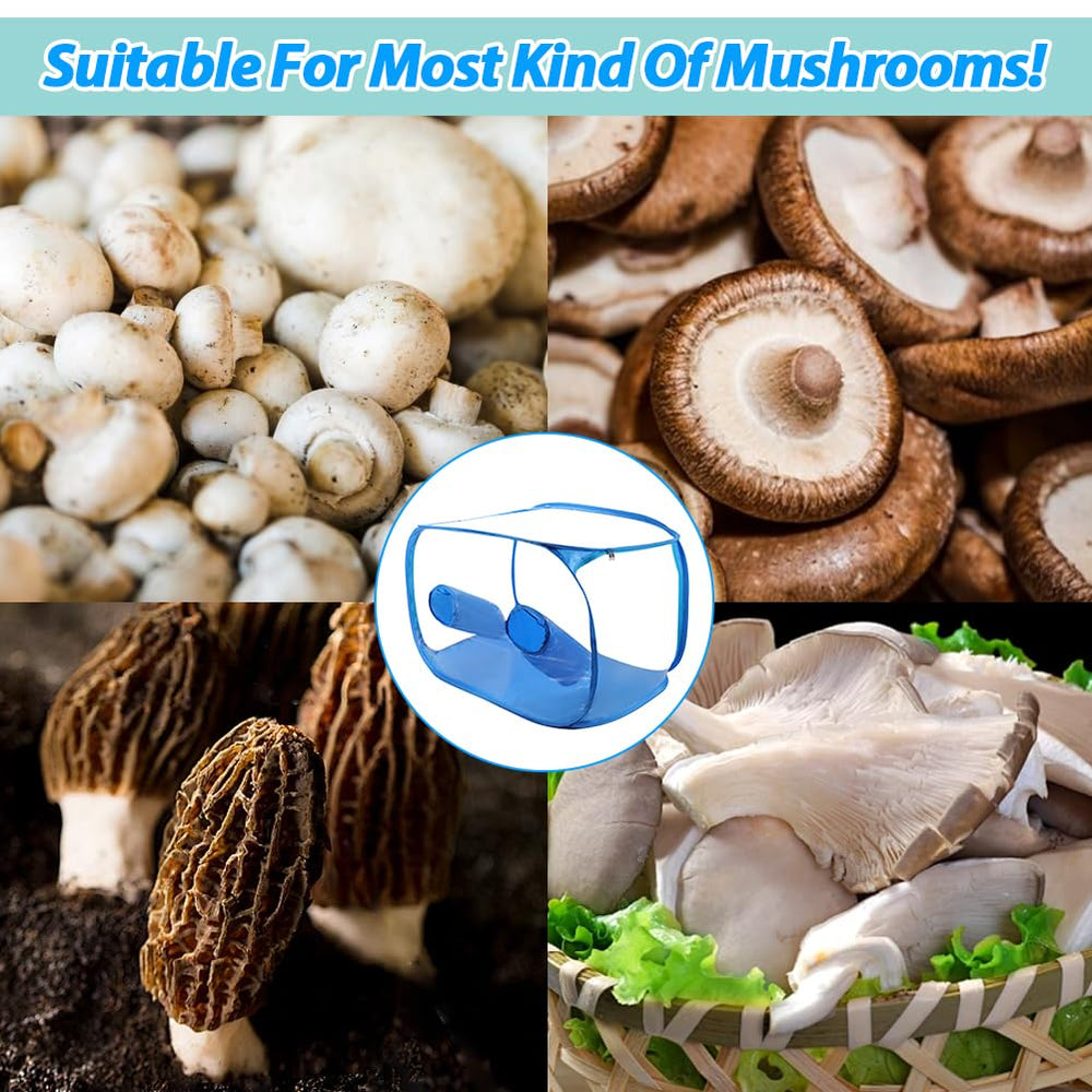 Jaxbo lifestyle home table use showing portability for hobby mycology projects