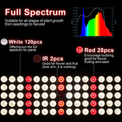 JCBritw closeup of LED array highlighting mixed white red IR diodes for balanced growth