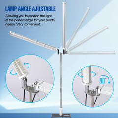 JCBritw adjustable stand showing height range for seedlings and taller plants