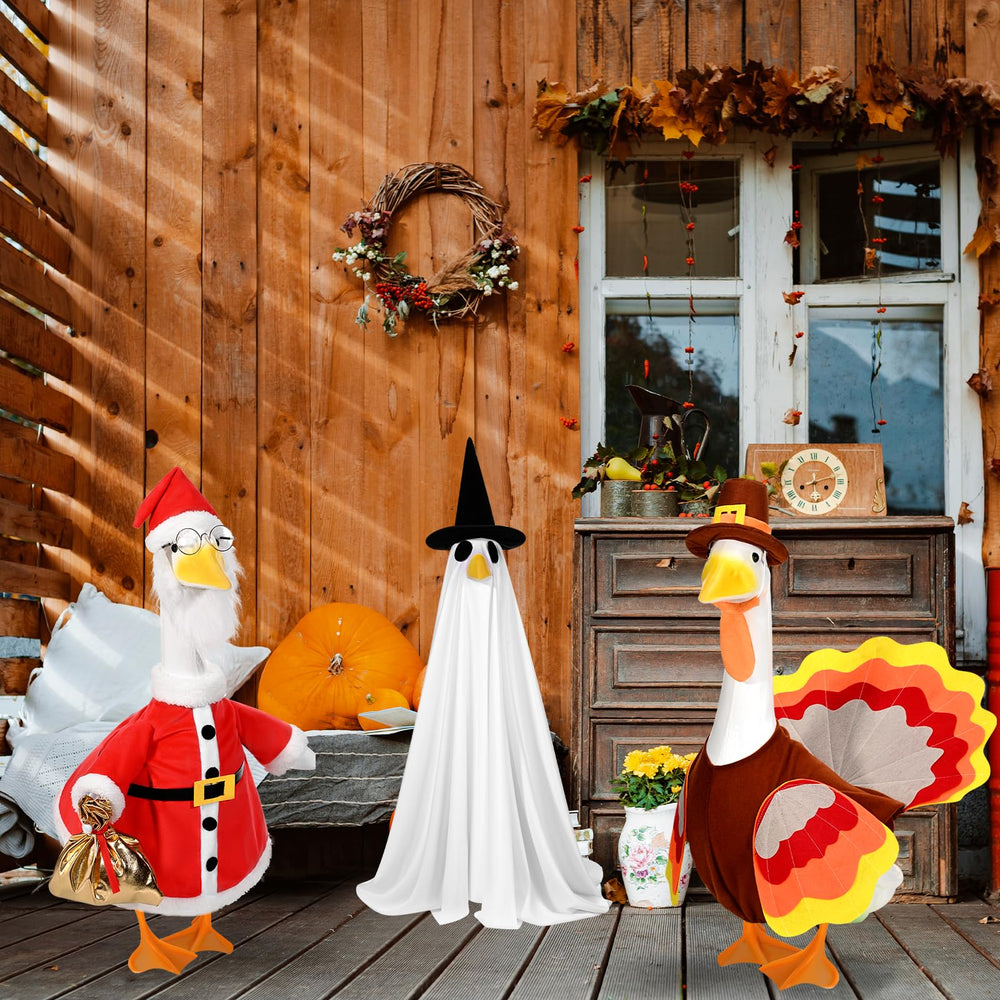 JcHrmers goose wearing outfit displayed on porch to attract attention