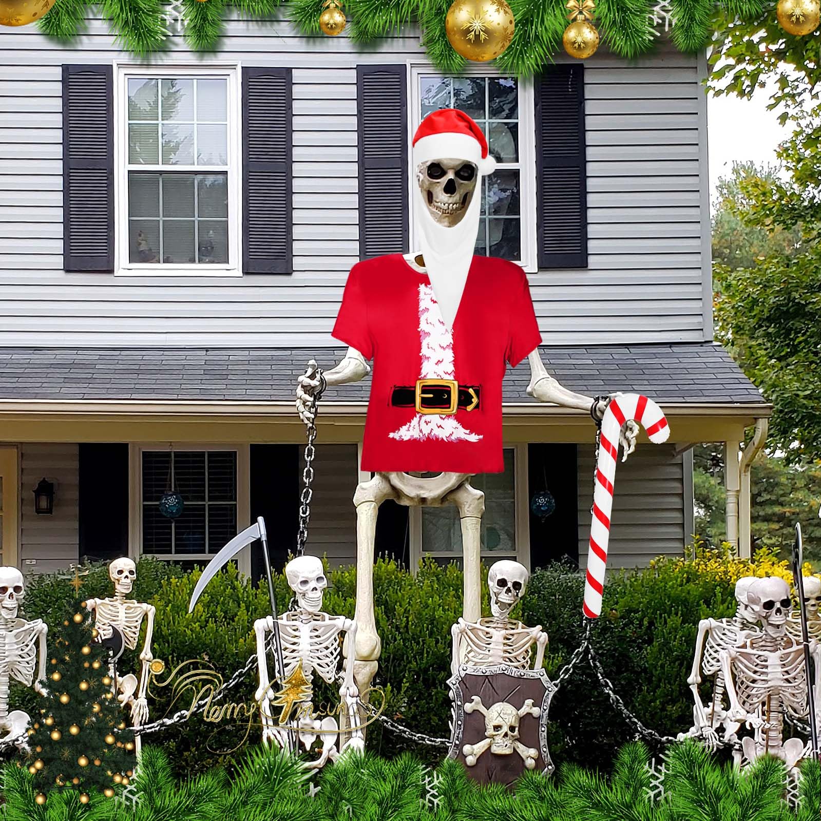 JcHrmers scale comparison with house illustrating 12ft height impact on yard