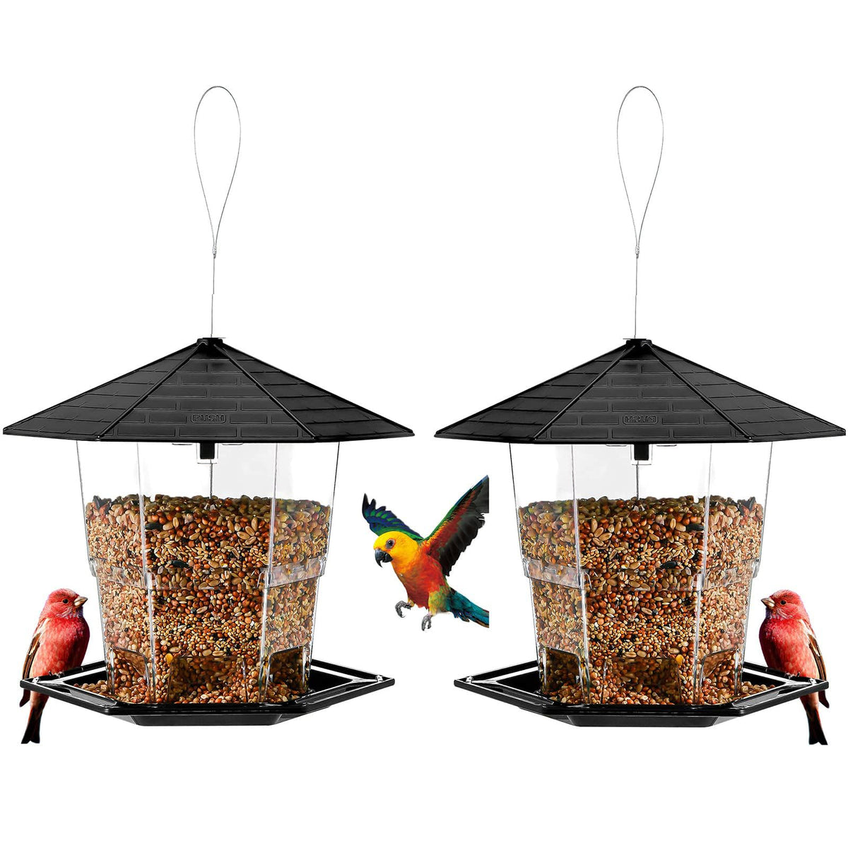 Jealoeur front view of two-pack feeder showing shape and hanging loop for easy setup