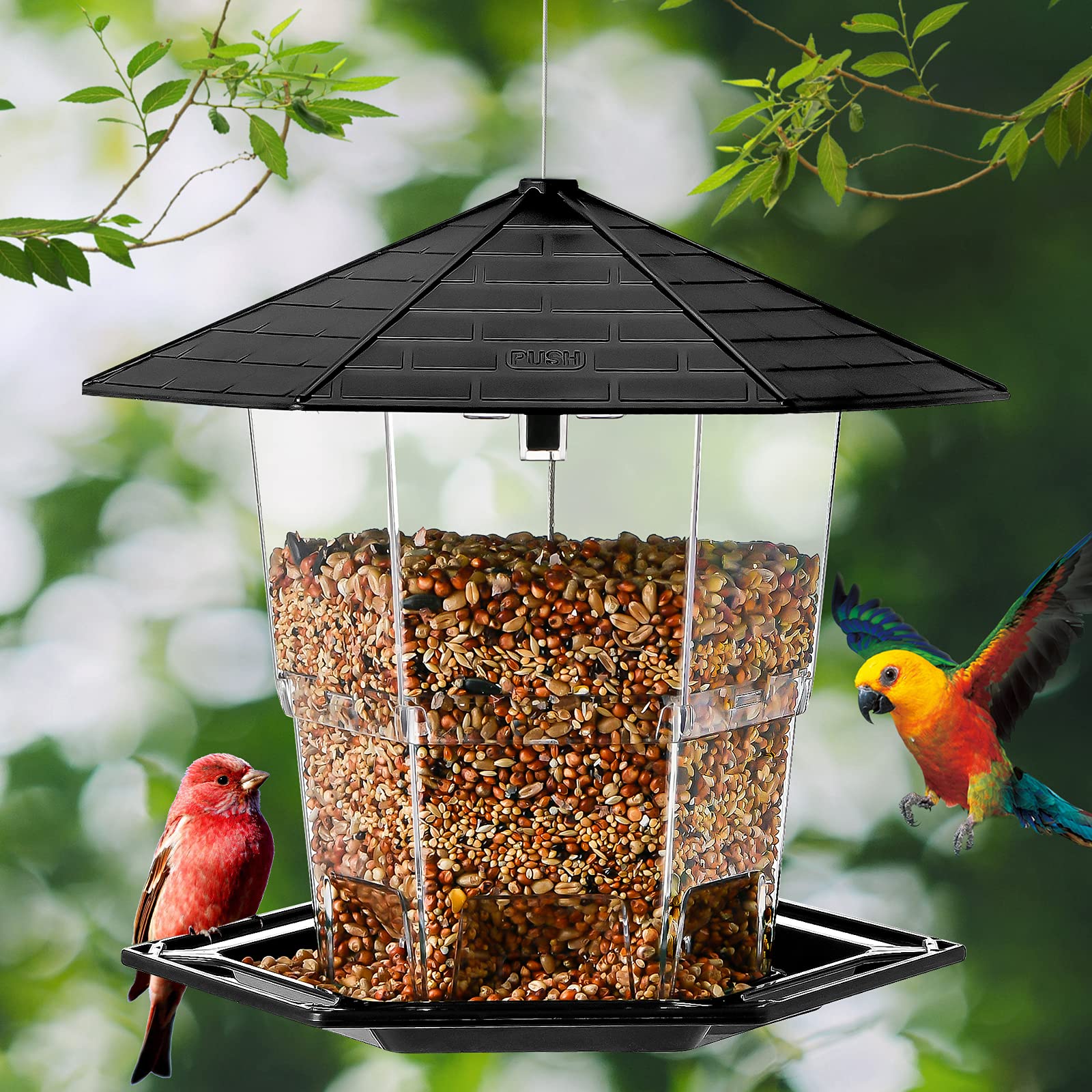 Jealoeur feeder hung under eaves showing weather protection for seeds and birds