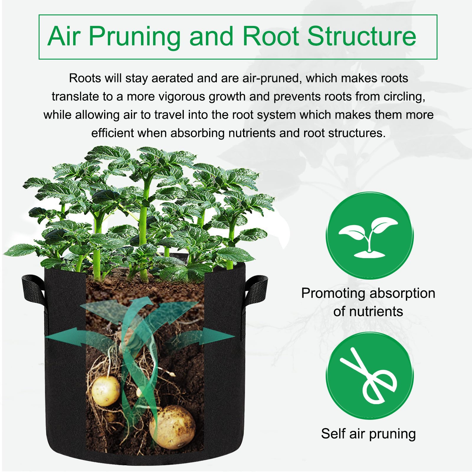 JERIA fabric pot shedding excess water to demonstrate drainage benefit