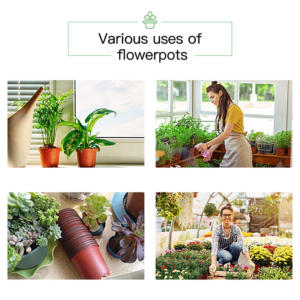 JERIA plant labels beside pots for clear identification and organization