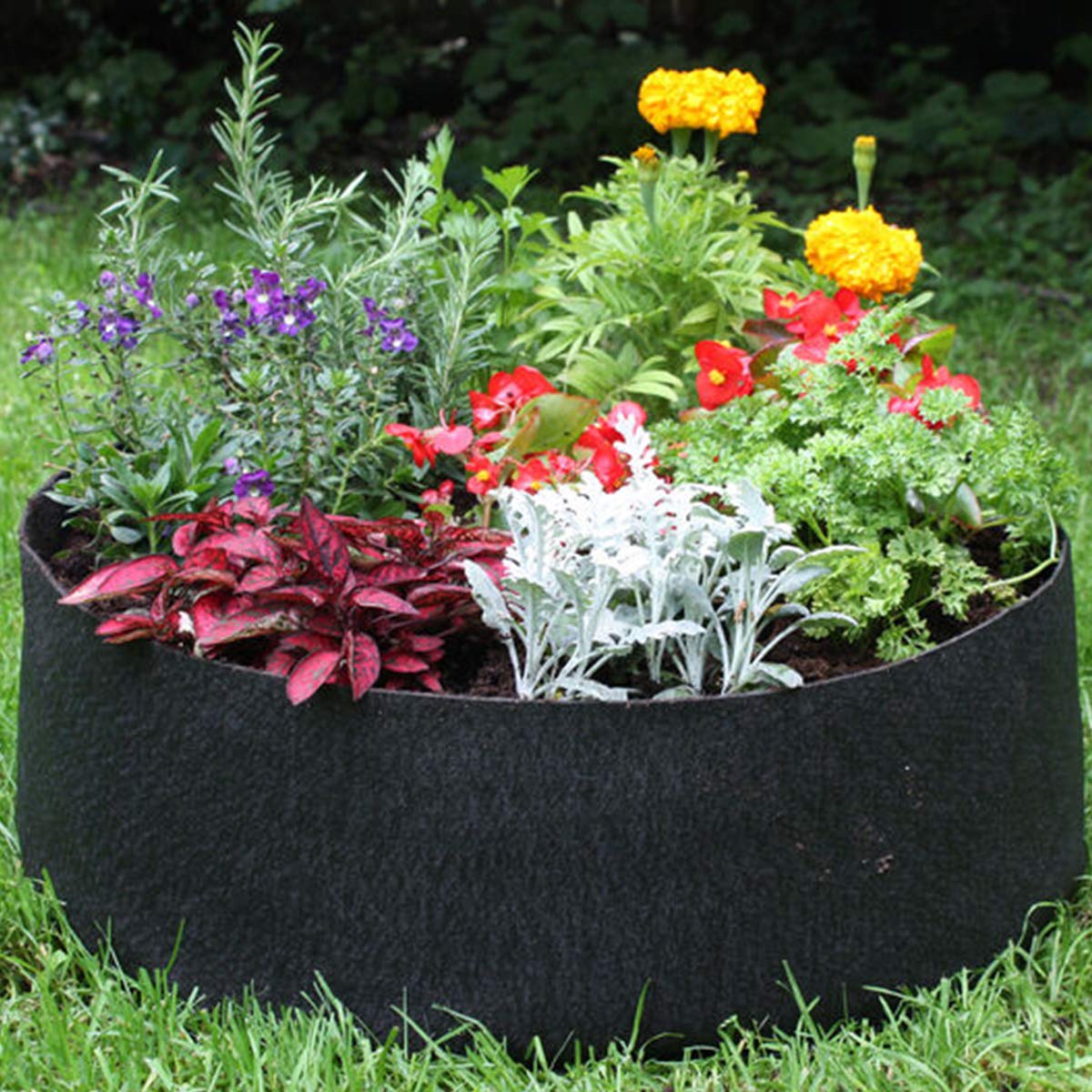 JES&MEDIS fabric pot shedding excess water to show smart drainage advantage