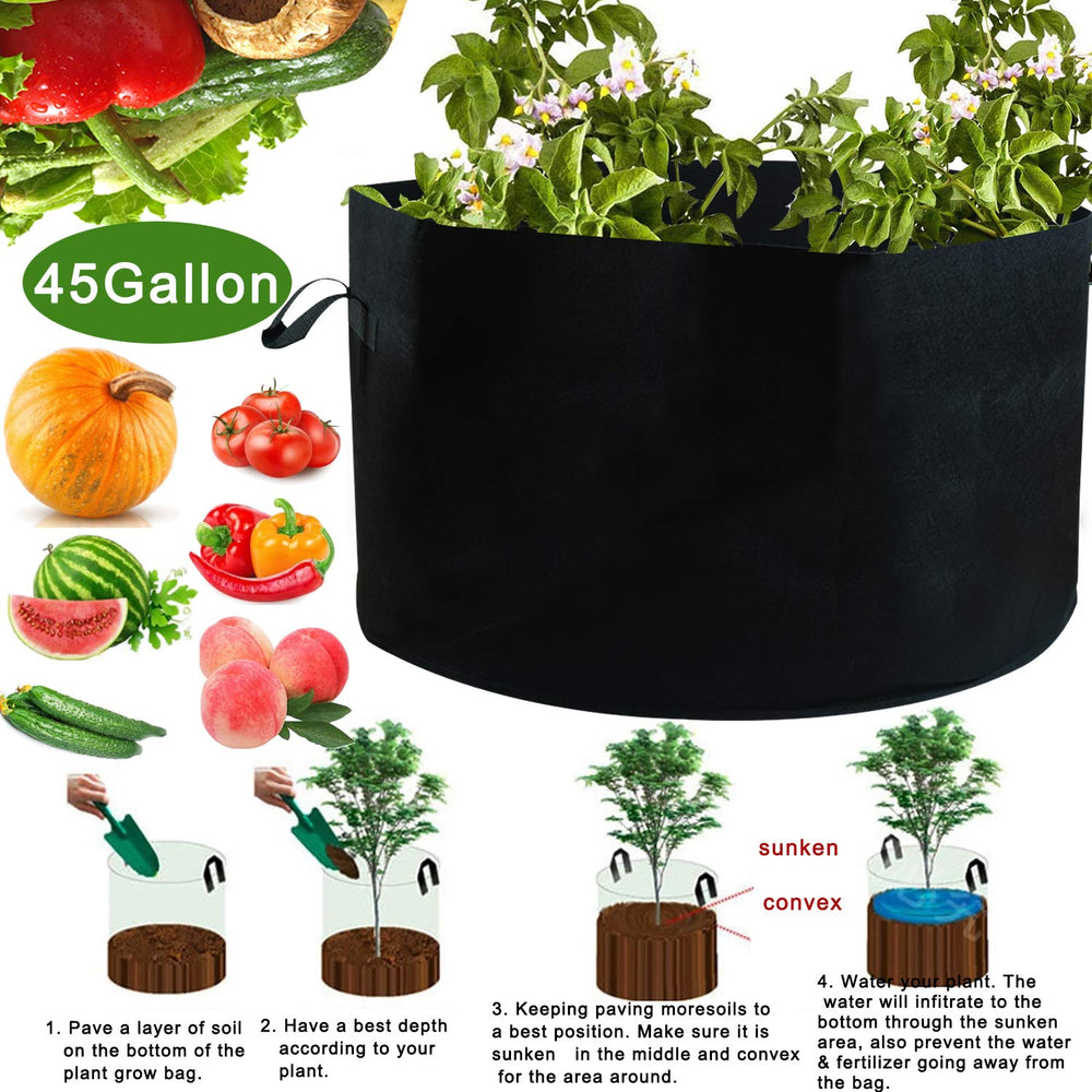 JES&MEDIS grow bag filled with soil and a tomato plant demonstrating healthy growth