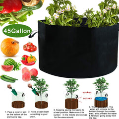 JES&MEDIS grow bag filled with soil and a tomato plant demonstrating healthy growth