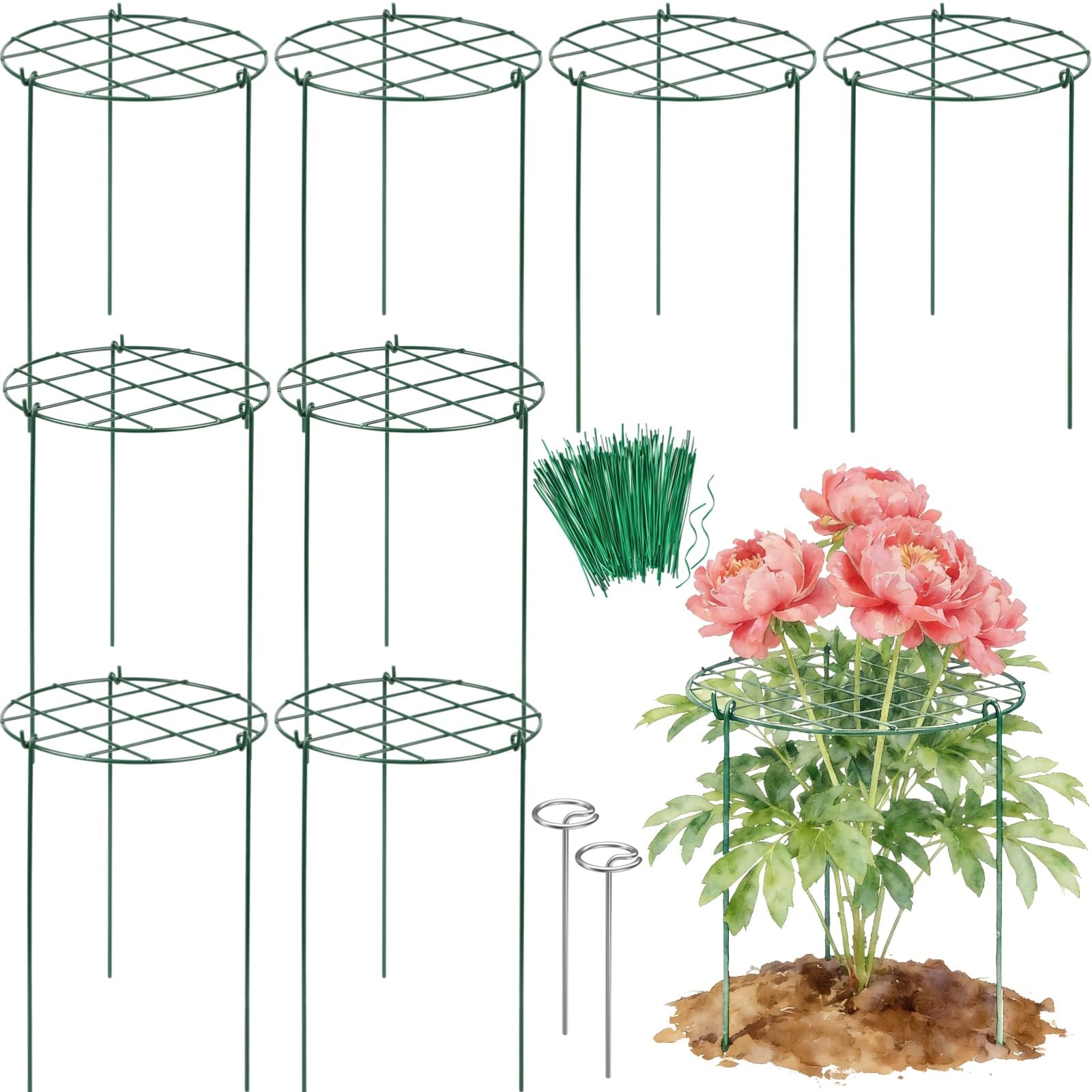 Jesosia front view assembled cage showing stable wide-top support benefit