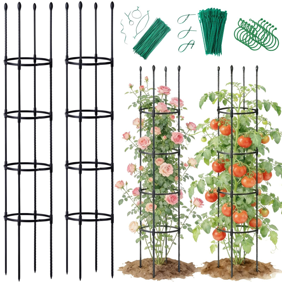 Jesosia front view showing two assembled cages and tidy garden support