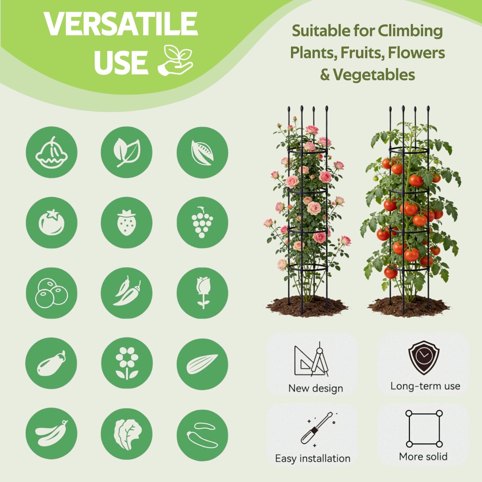 Jesosia holding heavy tomato cluster illustrating reduced stem stress