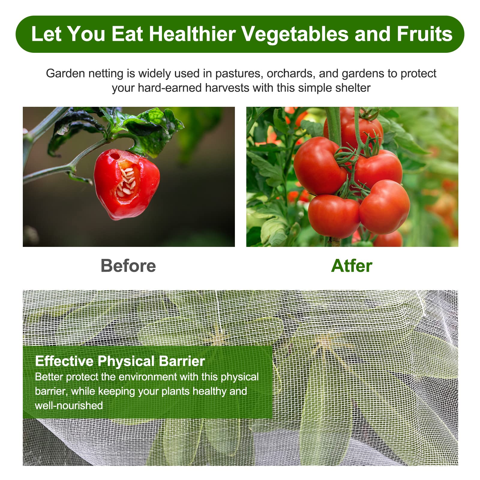 Jevrench netting draped over a vegetable bed protecting crops while letting light through