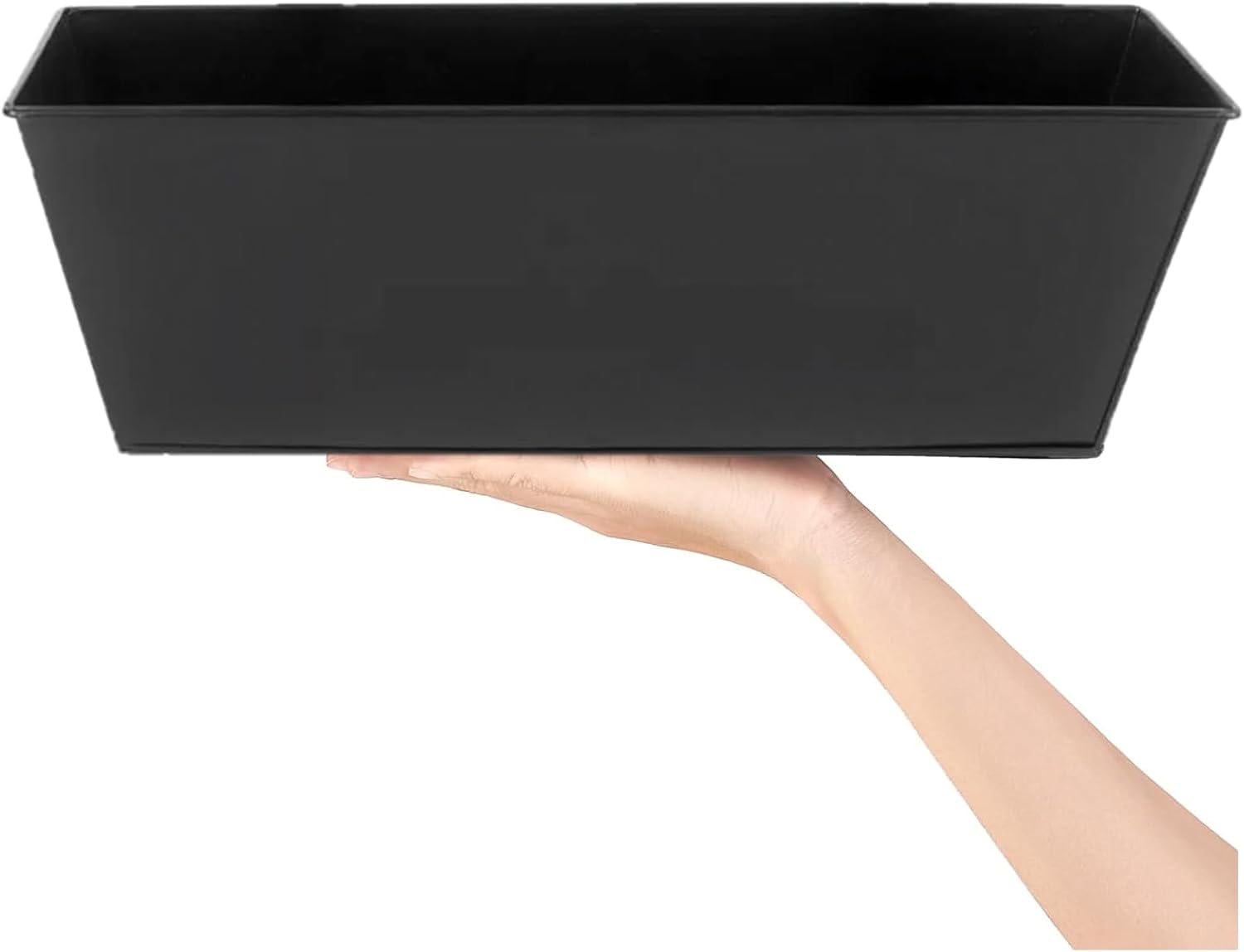 JFMAMJ size comparison with ruler showing 16-inch planter length
