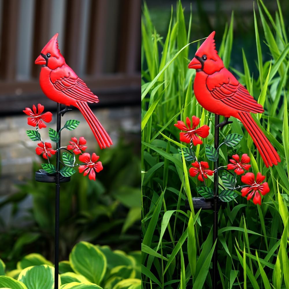 Jiasku cardinal beside hand to show stake size for easy placement