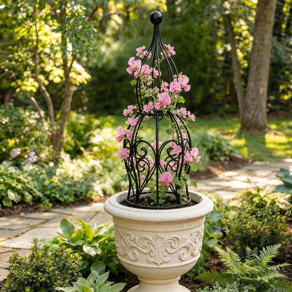 JILLSKY obelisk with climbing rose illustrating improved bloom display and training