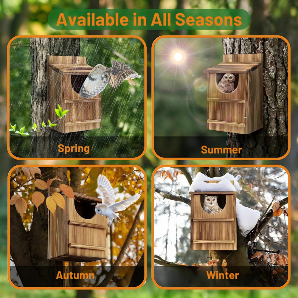 JILVGS owl box entry close-up demonstrating predator-resistant shape for safer nesting
