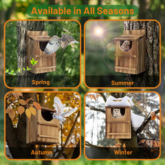 JILVGS owl box entry close-up demonstrating predator-resistant shape for safer nesting