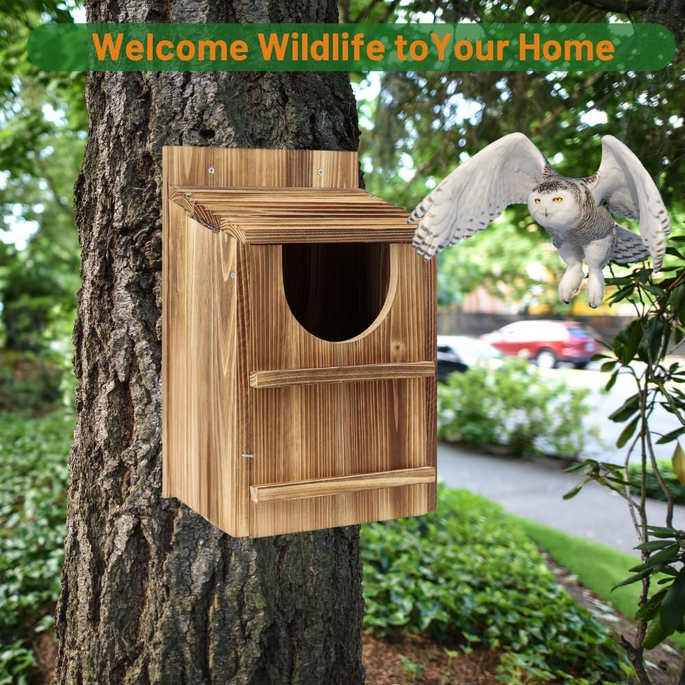 JILVGS owl box in backyard setting demonstrating habitat enhancement and aesthetic appeal