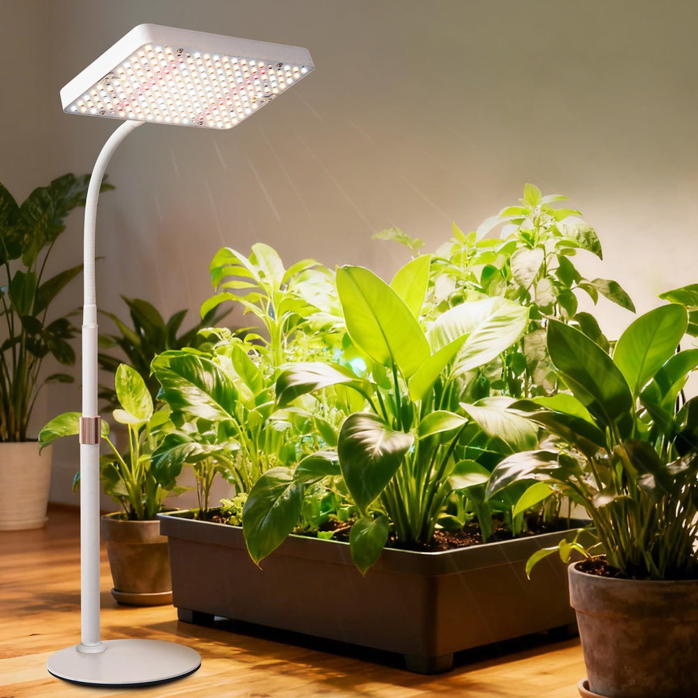 JINHONGTO adjustable height extended demonstrating versatility for plants
