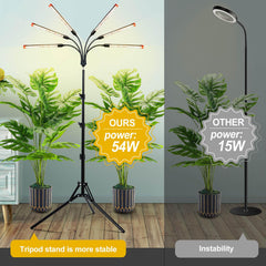 JINHONGTO tripod extended to 64 inches demonstrating height reach