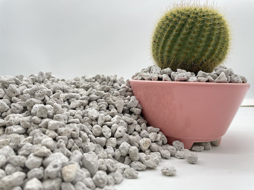 JK Global Imports pumice mixed with succulent soil showing fast-draining gritty mix benefit