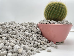 JK Global Imports pumice mixed with succulent soil showing fast-draining gritty mix benefit