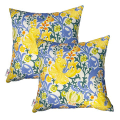 JMKaixin front view of two packaged pillows showing design and vibrant colors for quick style refresh