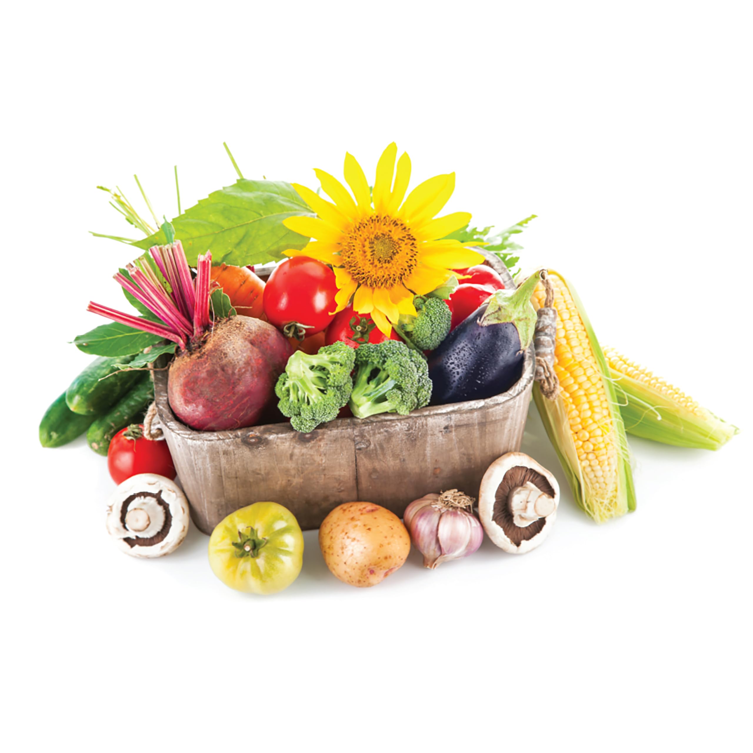 Product label detail with Jobe's Organics OMRI listing visible to indicate organic certification benefits