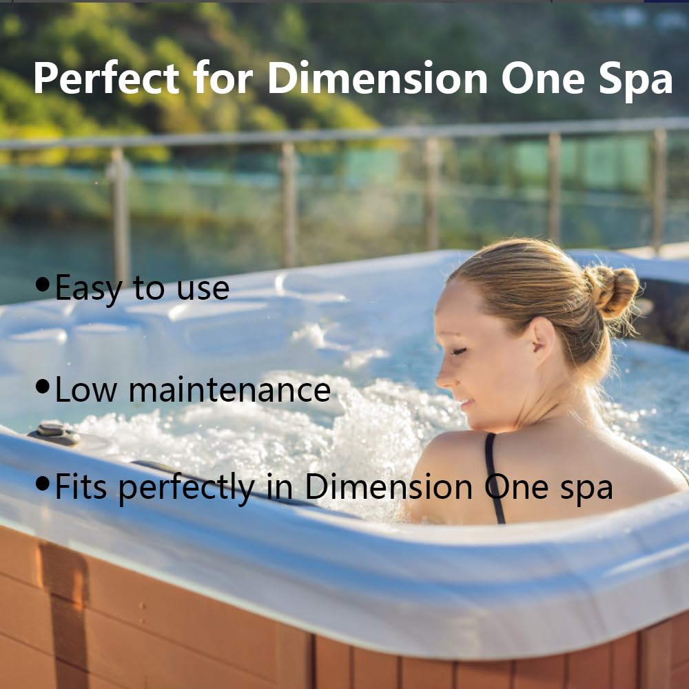 Joepoe cartridge installed in Dimension One spa showing correct fit