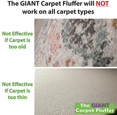 Johnny World rake in use on living room rug restoring plush pile