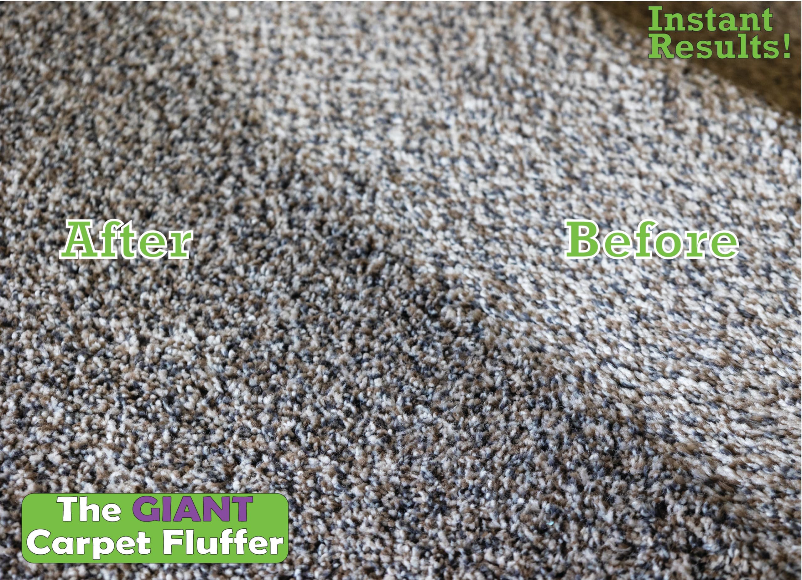 Johnny World before-and-after pet hair removal demonstrating cleaner carpet
