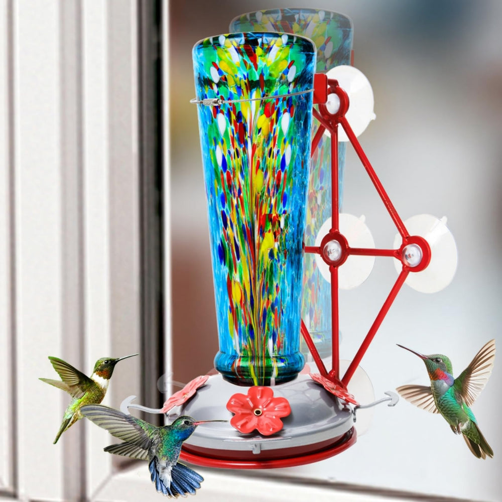 Jola's House front view of blue window hummingbird feeder shows clear close-up benefit